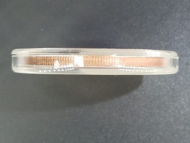 Lincoln Copper Wheat Penny Replica 1 Ounce - Image 3