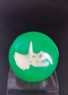 Green high-bounce rubber ball with dinosaur skull inside – Dinosaur Fossil High Bounce Ball