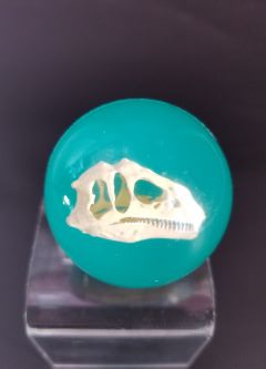 Teal high-bounce rubber ball with dinosaur skull inside – Fossil Dinosaur Ball