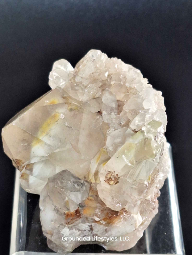 Amphibole Cluster Grounded Lifestyles