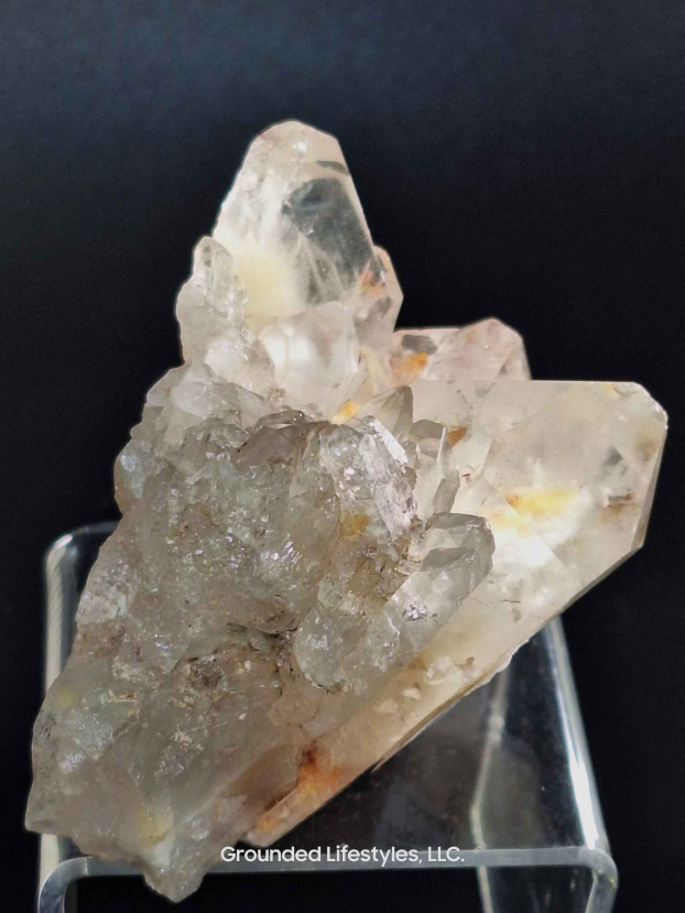 Amphibole Cluster Grounded Lifestyles