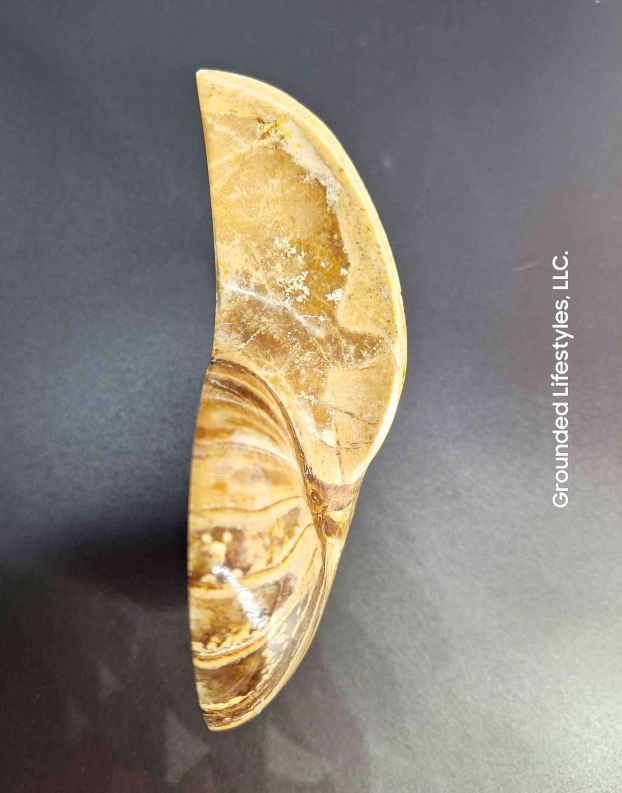 Nautilus Grounded Lifestyles