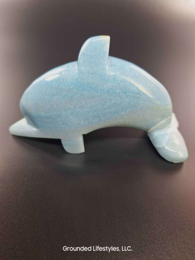 Trolleite Dolphin Grounded Lifestyles Products