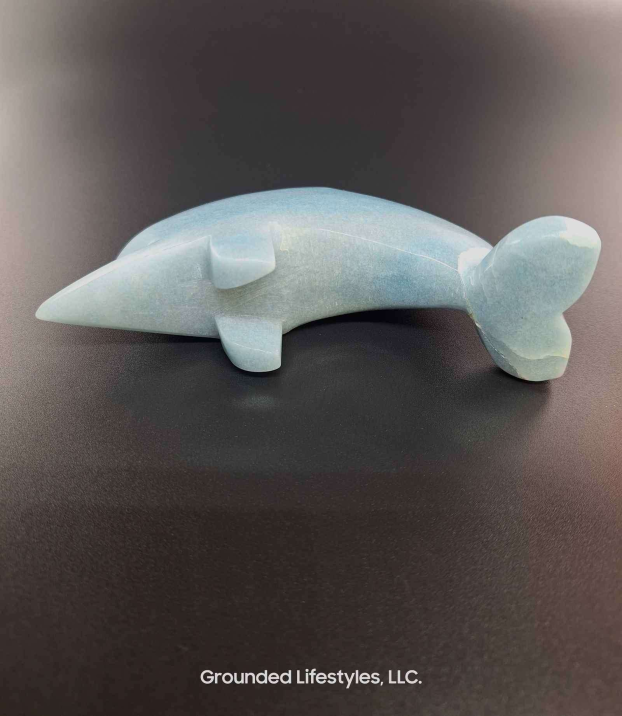 Trolleite Dolphin Grounded Lifestyles Products