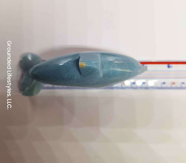 Trolleite Dolphin Grounded Lifestyles Products