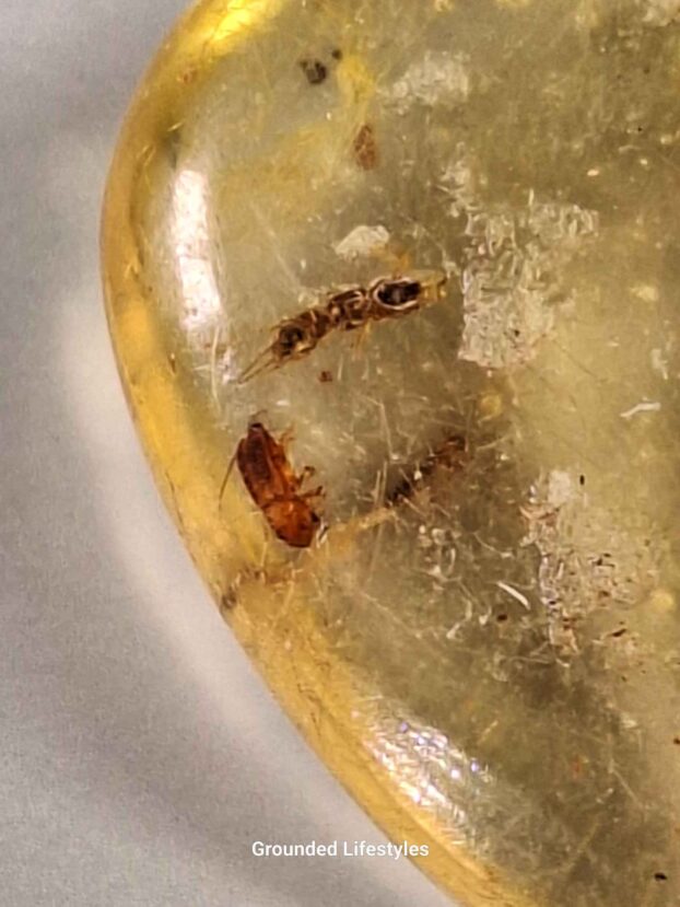 Natural Copal Resin from Madagascar Specimen - Image 3