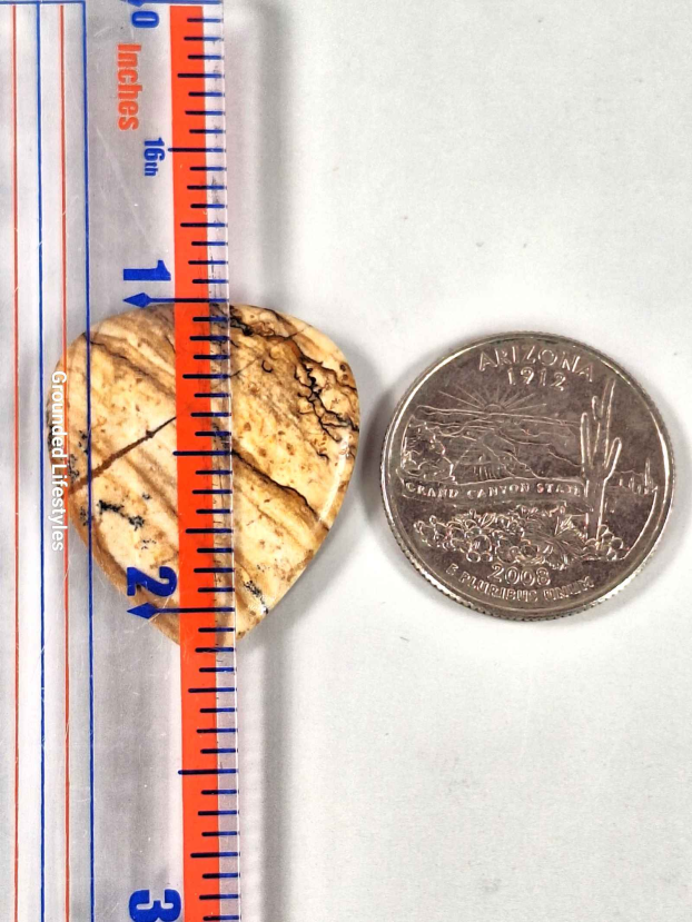 Picture Jasper Guitar Pick - Image 2