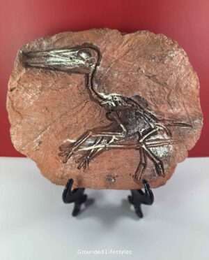 Pterosaur skeleton replica plaque displayed on an easel