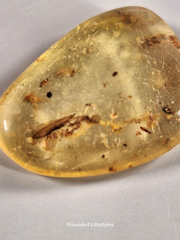 Natural Copal Resin from Madagascar Specimen - Image 2