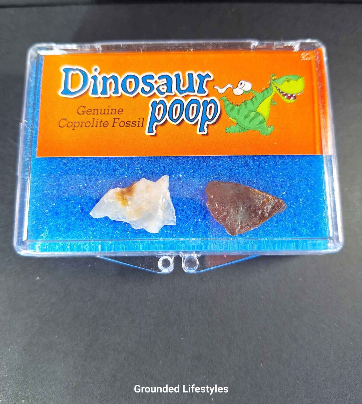 Natural fossil mineral specimens with ancient origin for geological display
