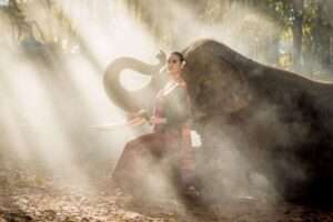 Animal Carving and Symbolism Grounded Lifestyles