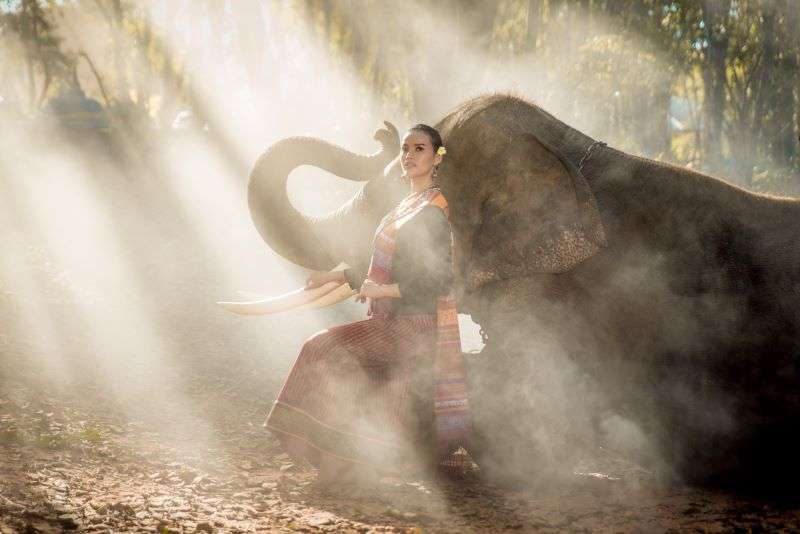 Animal Carving and Symbolism Grounded Lifestyles