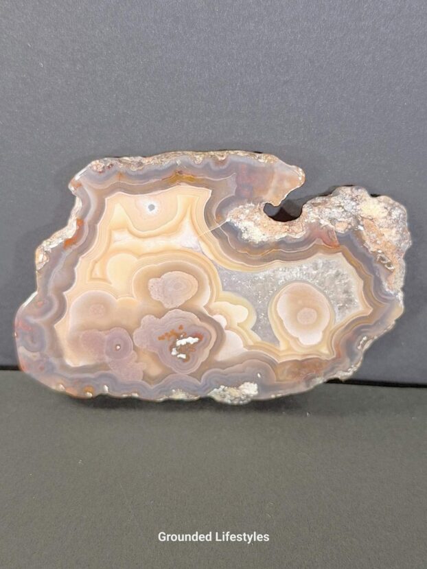 Laguna Agate Slice Mexico