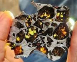 Pallasite Meteorite Grounded Lifestyles