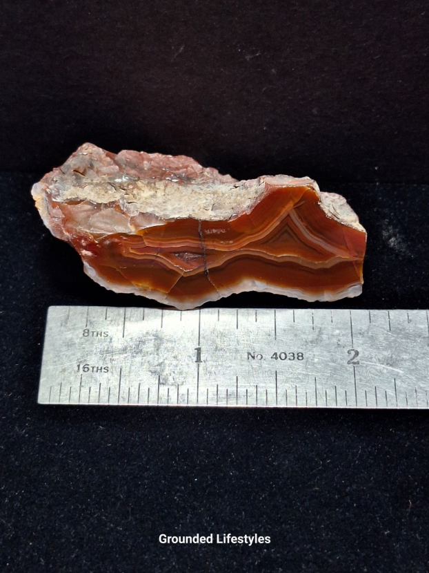 Argentine Condor Agate polished nodule with translucent fortification patterns.