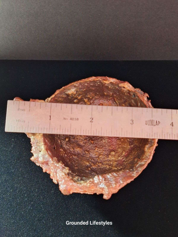 Native copper bowl collectible from Michigan’s Keweenaw Peninsula