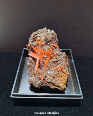 crocoite 2 inch crystal cluster from Tasmania Australia