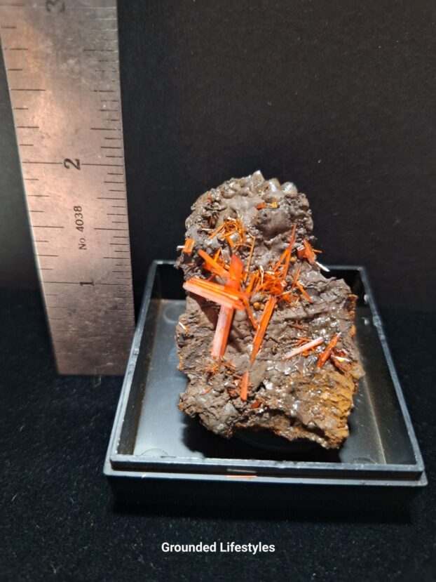 crocoite 2 inch crystal cluster from Tasmania Australia