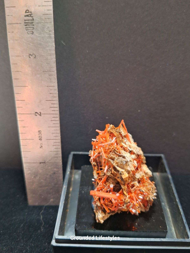 crocoite crystal cluster from Tasmania Australia