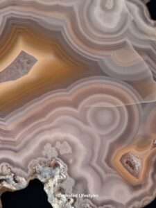 3.75 inch Laguna agate slice with pink and brown concentric banding