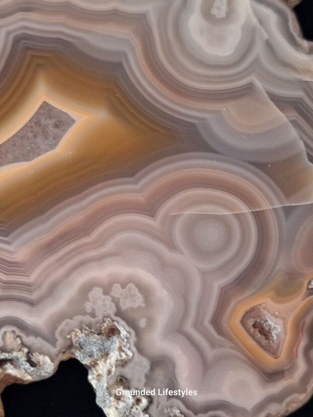 3.75 inch Laguna agate slice with pink and brown concentric banding