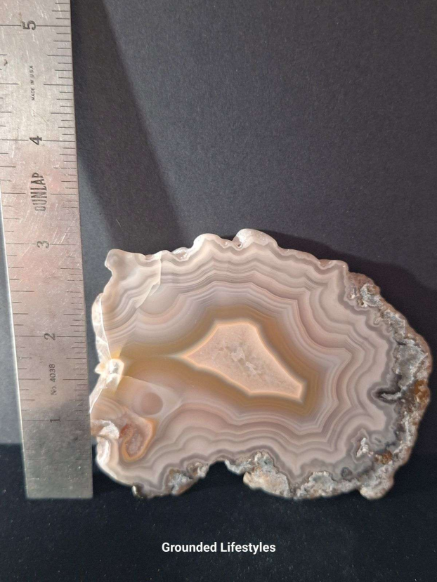 3.75 inch Laguna agate slice with pink and brown concentric banding