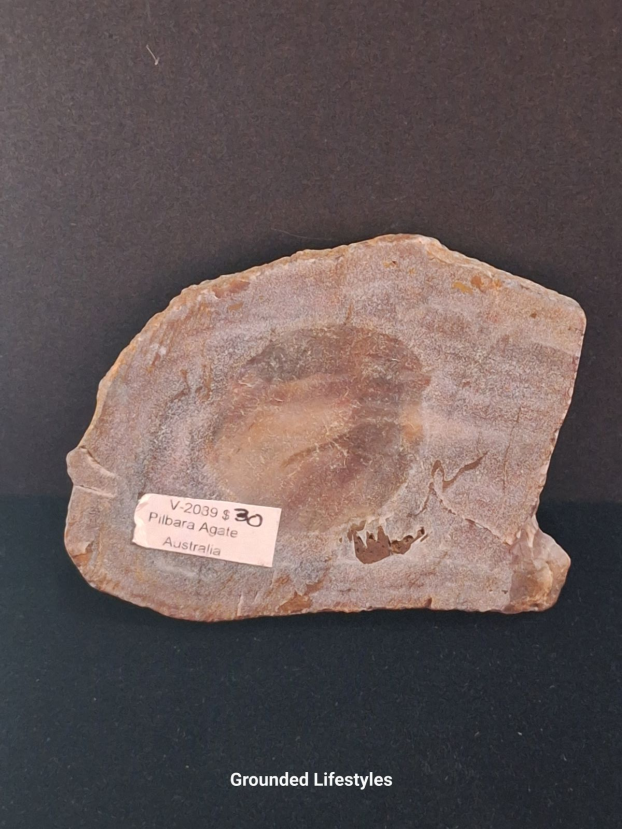 Australian Pilbara Agate polished slice displaying fine concentric bands.