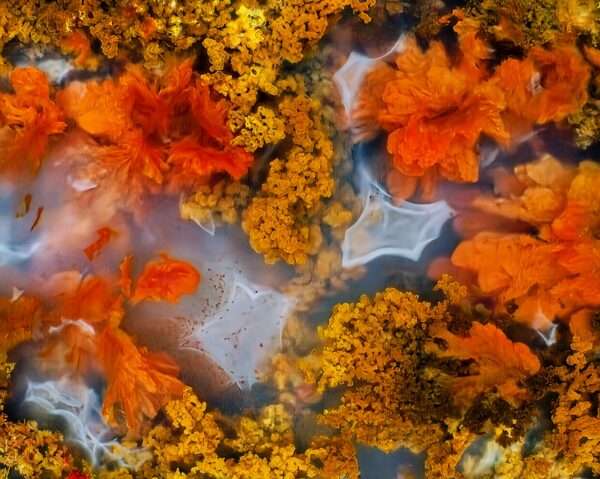 plume agate