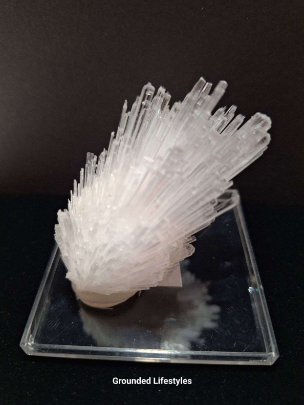 scolecite spray mineral specimen from India