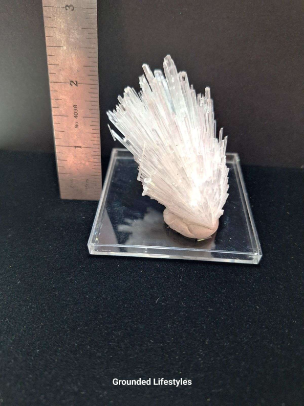 scolecite spray mineral specimen from India