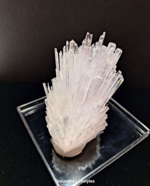 scolecite spray mineral specimen from India