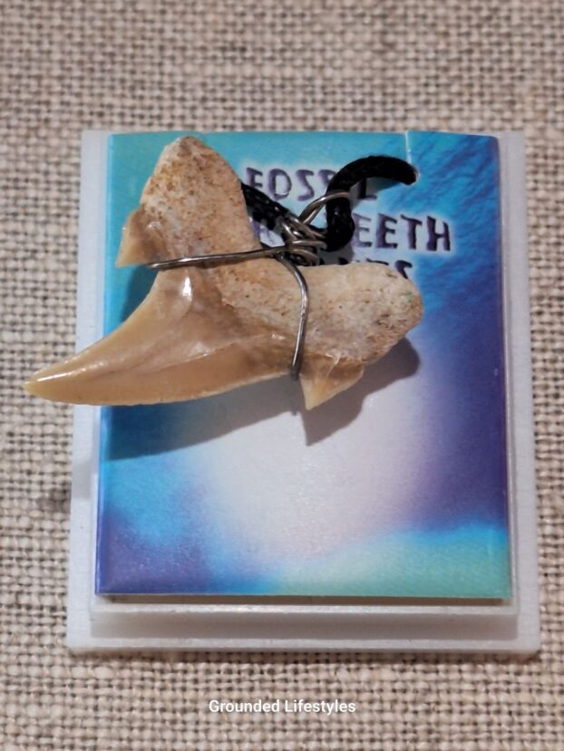 1.25 inch wire wrapped shark tooth necklace on black rope cord