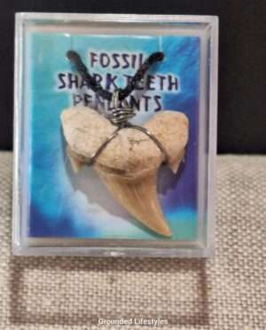 1.25 inch wire wrapped shark tooth necklace on black rope cord