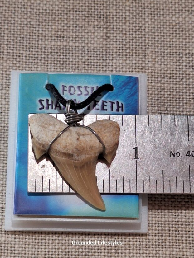1.25 inch wire wrapped shark tooth necklace on black rope cord