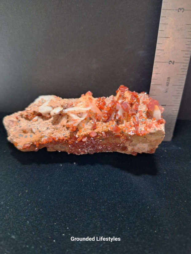 vanadinite cluster 3.5 inch crystal specimen from Morocco