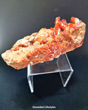 vanadinite cluster 3.5 inch crystal specimen from Morocco