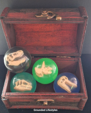 dinosaur skull high bounce balls shown in wooden treasure chest