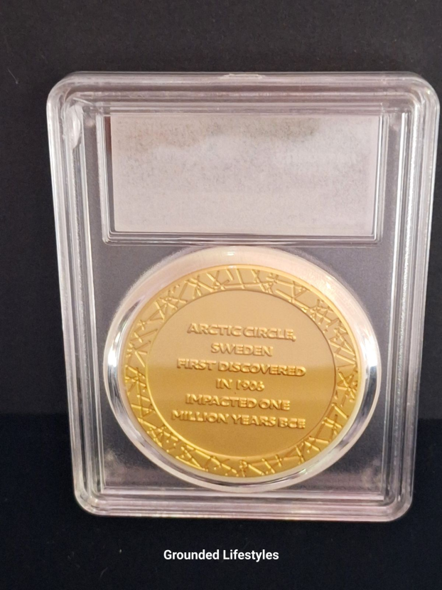 gold alloy coin inset with Muonionalusta meteorite fragment