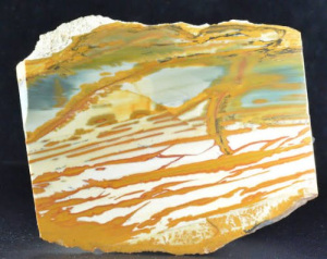 Owyhee Jasper Slab
