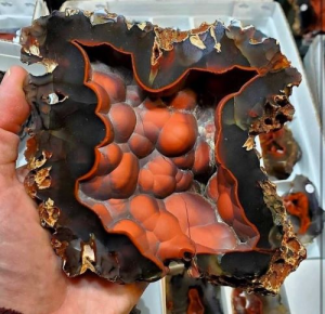 red fox agate specimen