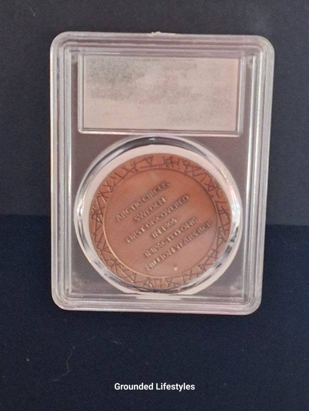 Muonionalusta meteorite bronze coin in clear display case