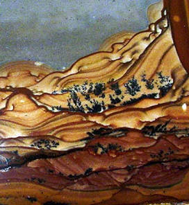 Deschutes Jasper slab