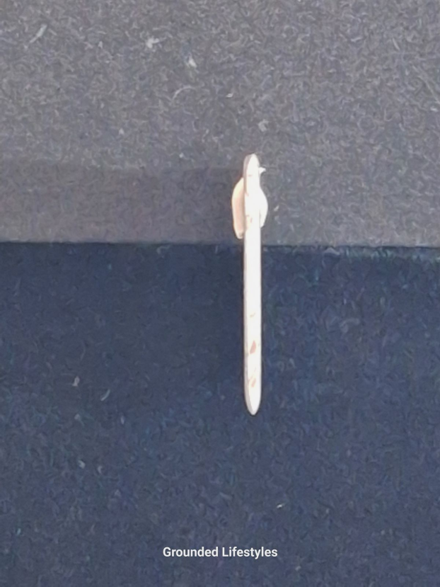 natural iron meteorite guitar pick 1 inch Swedish octahedrite