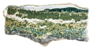 ocean jasper slab