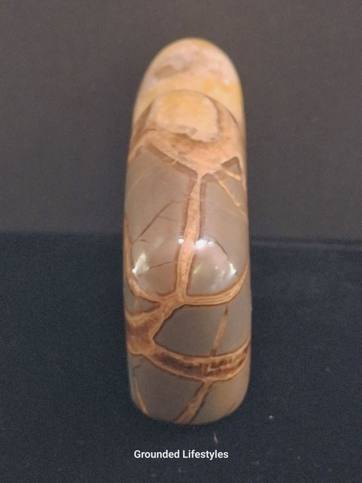 natural septarian buffalo fetish 2.5 inch collectible calcite and aragonite carving