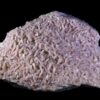 dolomite