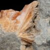 orange celestite Calendon Township Ontario