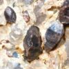Zircon Crystal Saranac Mine, Bancroft Ontario