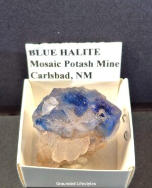 Blue Halite New Mexico