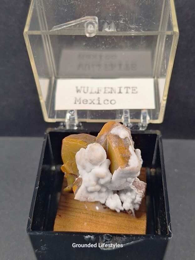 Wulfenite with White Matrix – Los Lamentos, Mexico